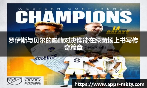 罗伊斯与贝尔的巅峰对决谁能在绿茵场上书写传奇篇章